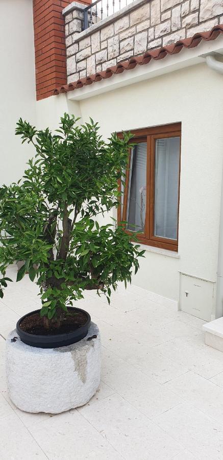 Haus Silvia Apartamento Rovinj Exterior foto